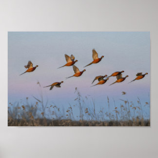 Hunt begin-säsongsbuntjägare poster