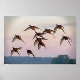 Hunt begin-säsongsbuntjägare poster