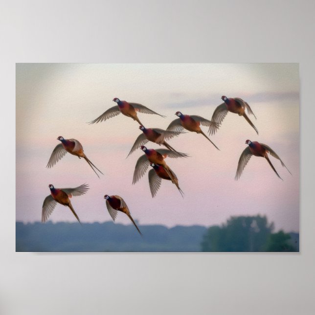 Hunt begin-säsongsbuntjägare poster (Framsidan)