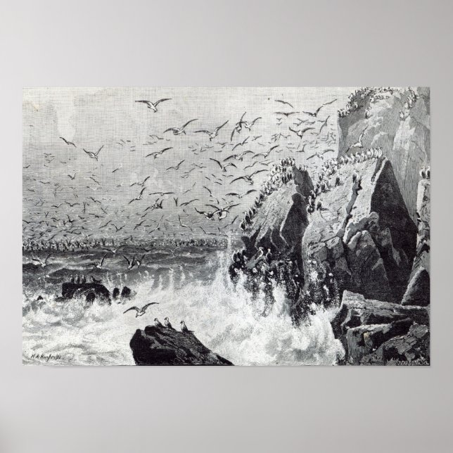 Hunt i Gulls Poster (Framsidan)