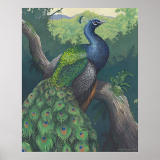 Hunt i Peacock Print Poster