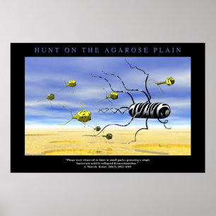 Hunt på Agarosslätten Poster