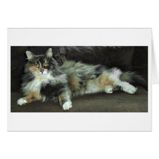 Hunt, väntar på middag hälsningskort