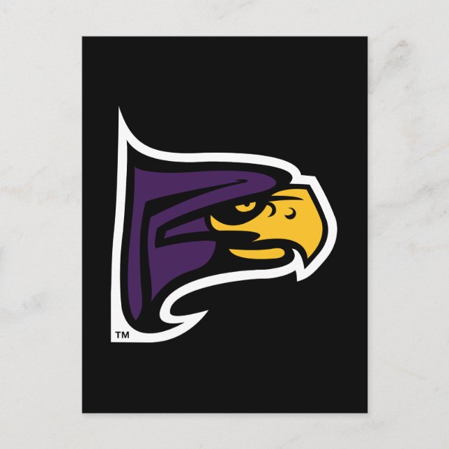 Hunter College Hawk Profil Maskot Vykort (Framsida)