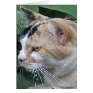 Hunter Hälsningskort