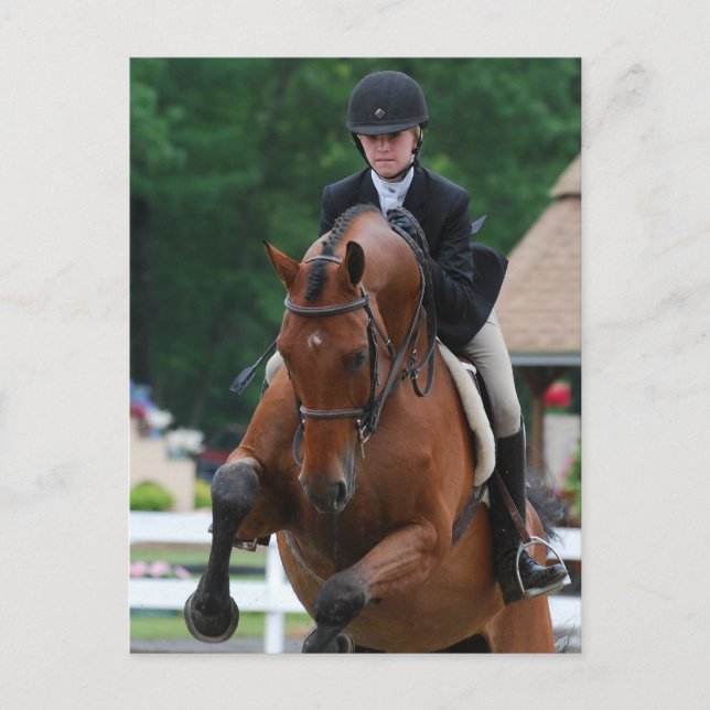 Hunter Horse Show Postcards Vykort (Framsida)
