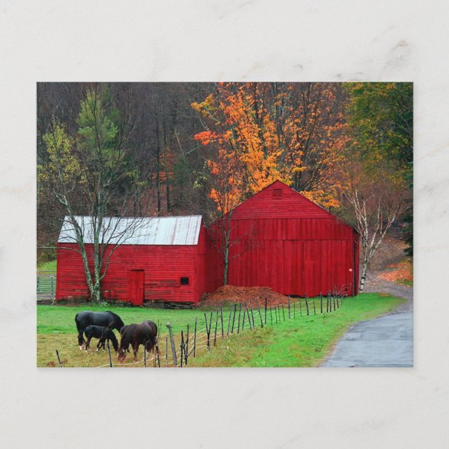 Hunter Mountain Vykort (Framsida)