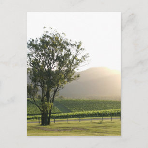 Hunter Valley, New South Wales Vykort
