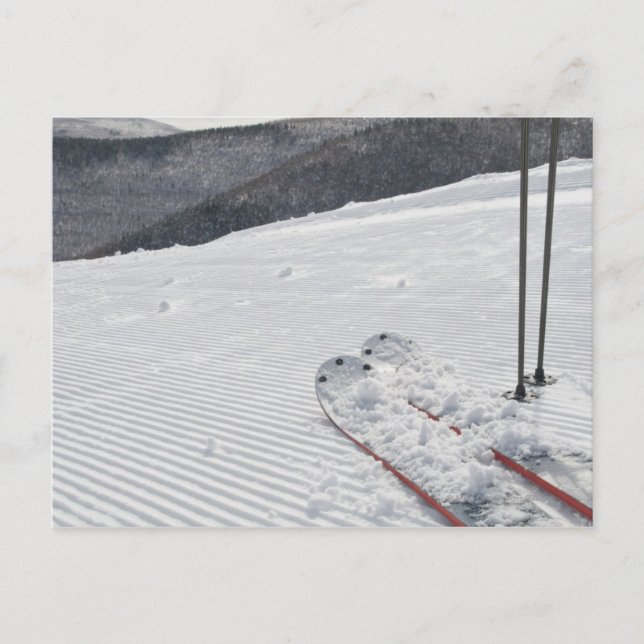 Hunter Vykort (Framsida)