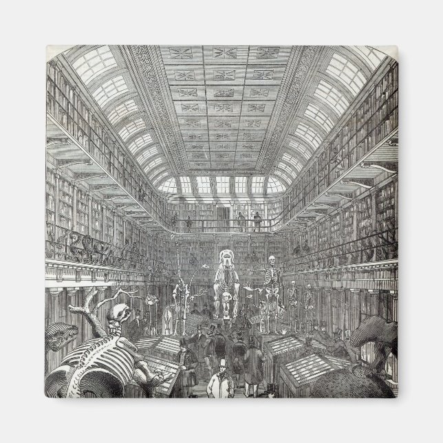 Hunterianmuseet Magnet (Framsidan)