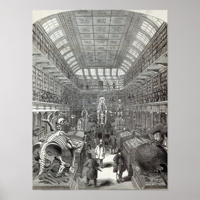 Hunterianmuseet Poster (Framsidan)