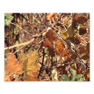 Hunters Camo Camouflage Painting Anpassa det här! Fototryck