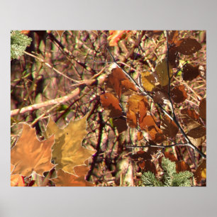 Hunters Camo Camouflage Painting Anpassa det här! Poster