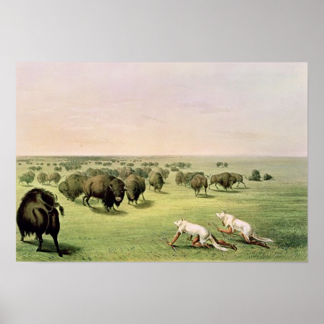 Hunting Buffalo Camouflaged Poster (Framsidan)