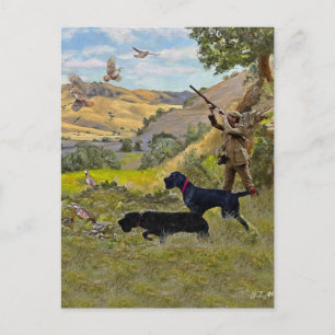 Hunting Chukar partridge Vykort
