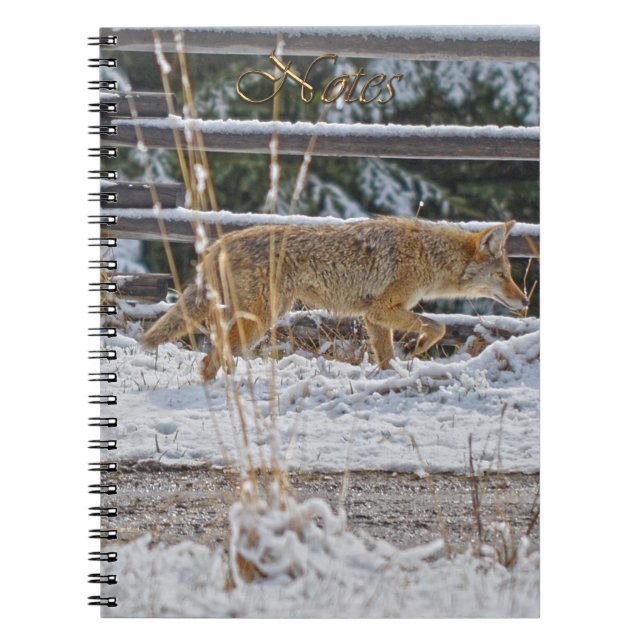Hunting Coyote Wildlife-supporter Notebook Anteckningsbok Med Spiral (Framsidan)