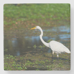 Hunting Egret Stenunderlägg