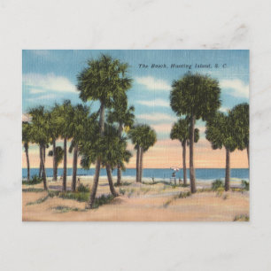 Hunting Island, South Carolina Vykort