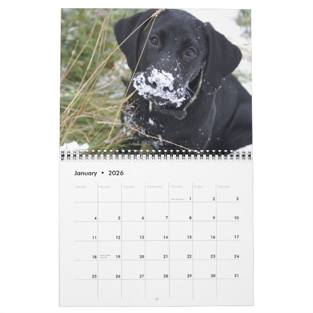 Hunting Labs Kalender (Jan 2026)