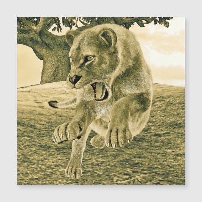 Hunting Lioness (Framsida)