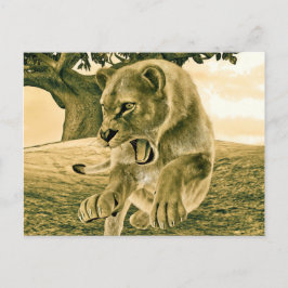 Hunting Lioness Vykort