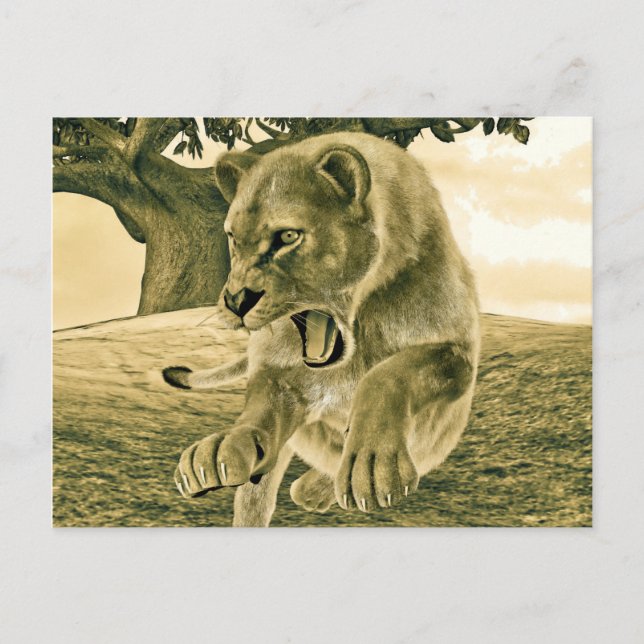 Hunting Lioness Vykort (Framsida)