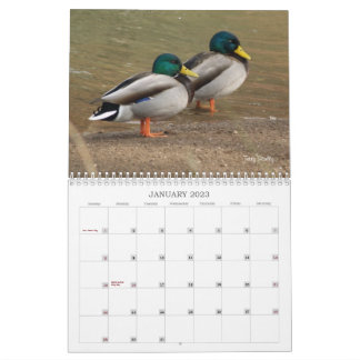 Hunting Mallard Anka Calendar Kalender