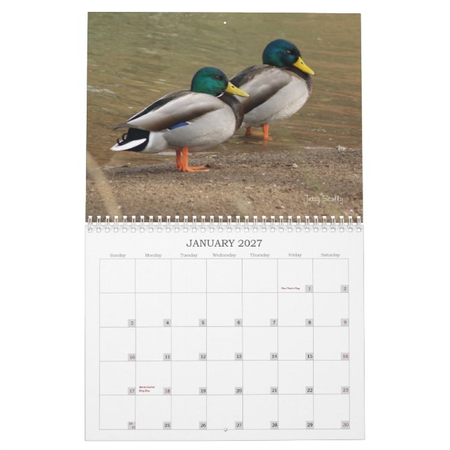 Hunting Mallard Anka Calendar Kalender (Jan 2027)
