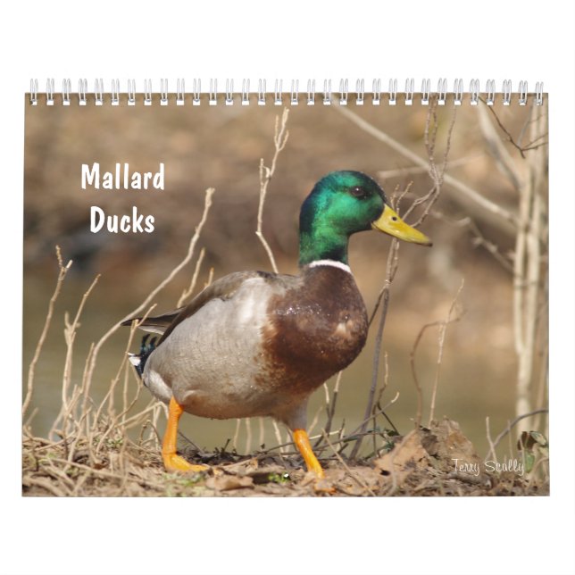 Hunting Mallard Anka Calendar Kalender (Omslag)