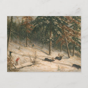 Hunting Moose Vykort