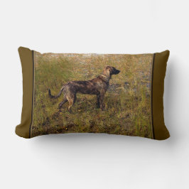Hunting Plott Hound Dekorativ kudde