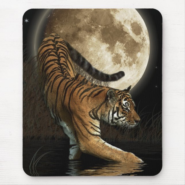 Hunting Tiger & Full Moon Wildlife Art Musmatta (Framsidan)