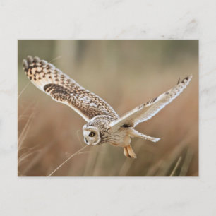 Hunting Uggla Vykort