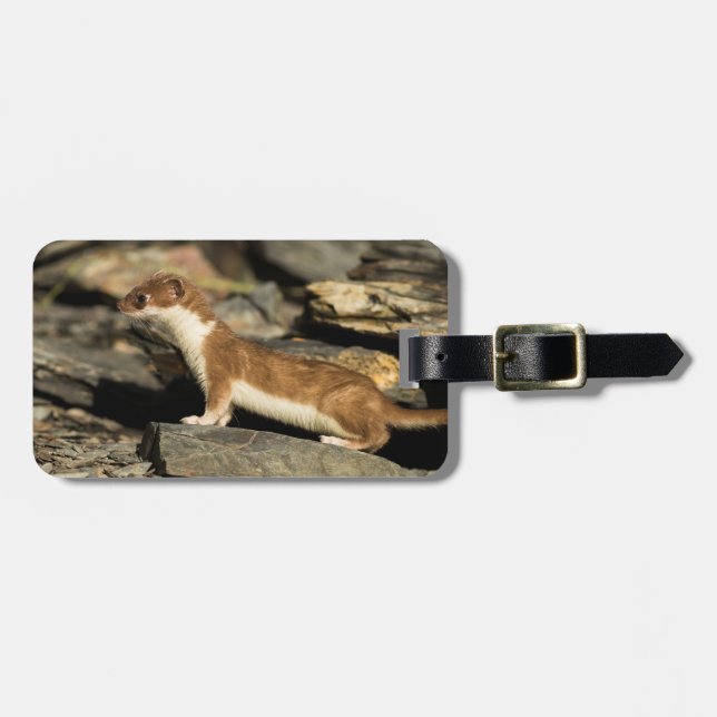 Hunting Weasel Bagagebricka (Horisontell Framsida)