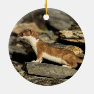 Hunting Weasel Julgransprydnad Keramik