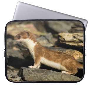Hunting Weasel Laptop Fodral