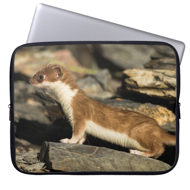 Hunting Weasel Laptop Fodral (Framsidan)