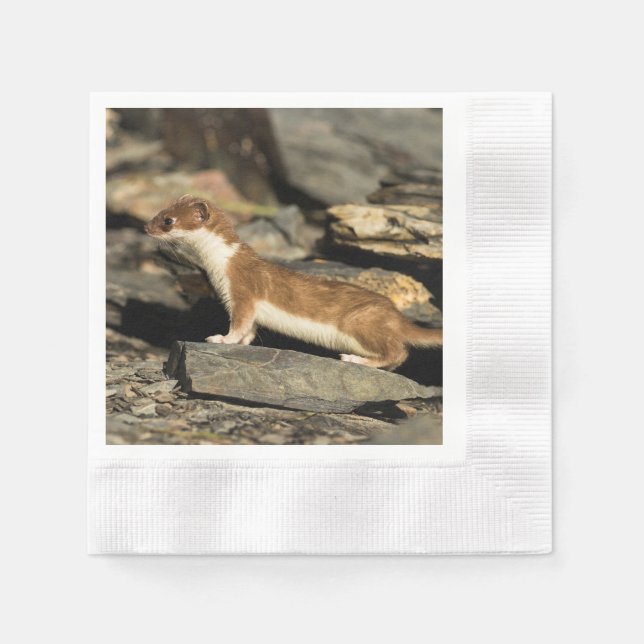 Hunting Weasel Pappersservett (Framsidan)