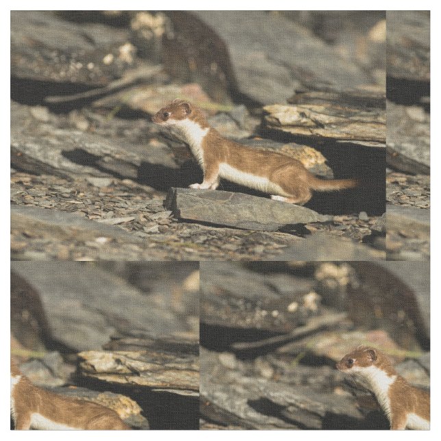 Hunting Weasel Tyg (Närbild)