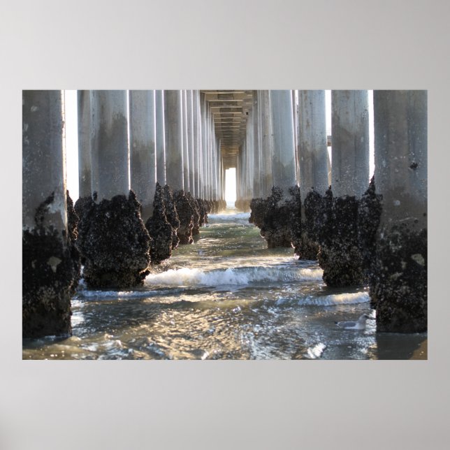 Huntington Beach California Poster (Framsidan)