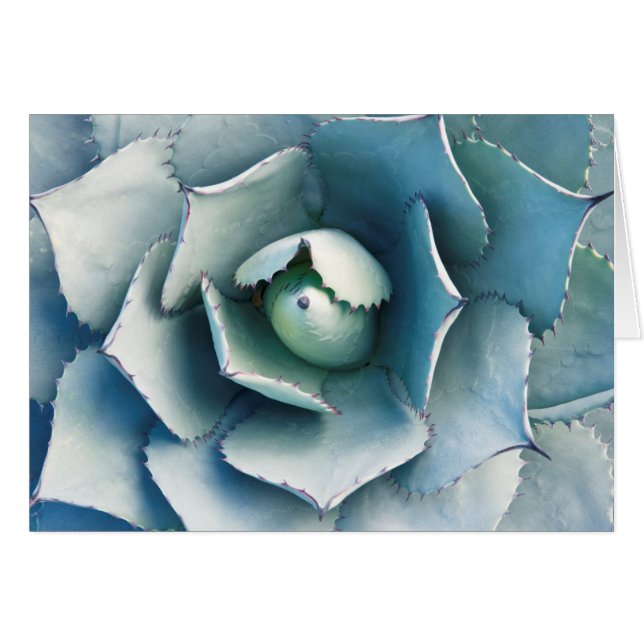 Huntington Botaniska trädgården Hälsningskort (Framsidan Horizontal)