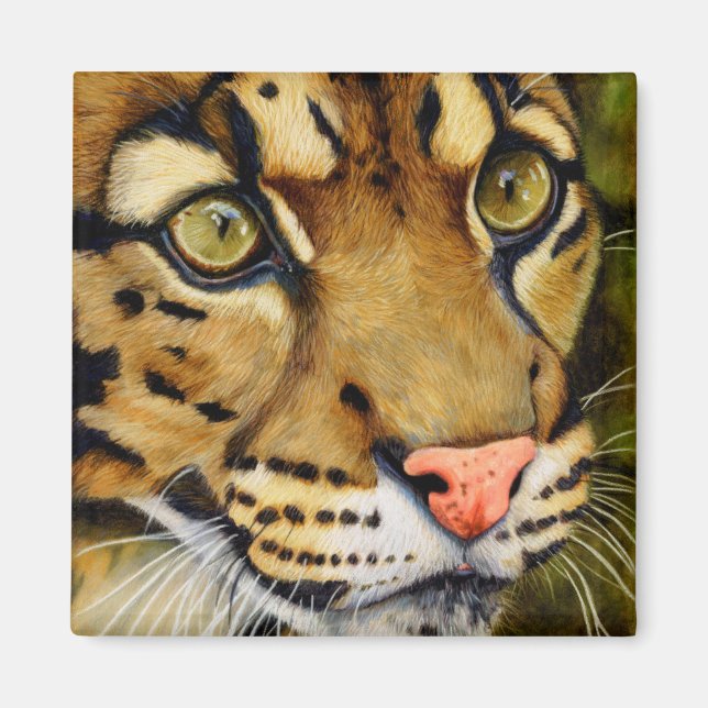 Huntress - Clouded leopard Magnet (Framsidan)