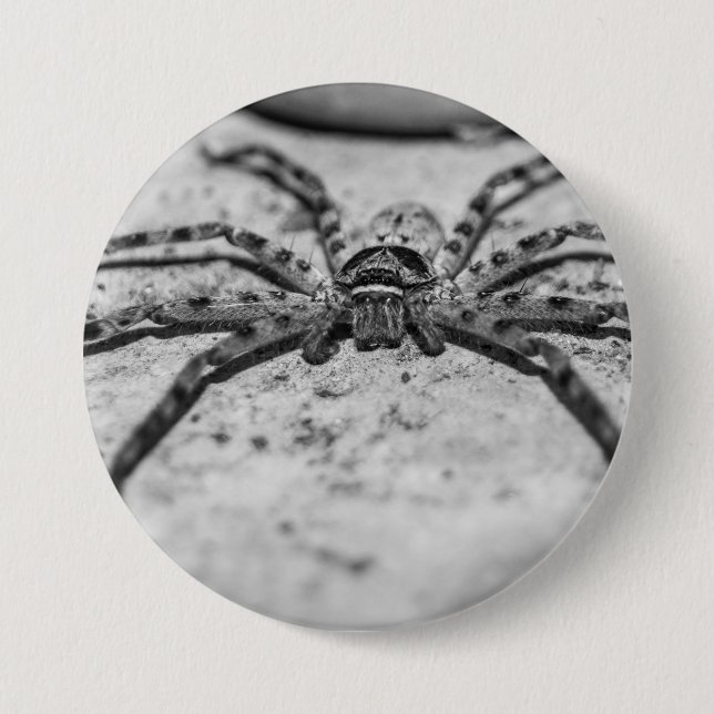 Huntsman Spider Knapp (Framsida)
