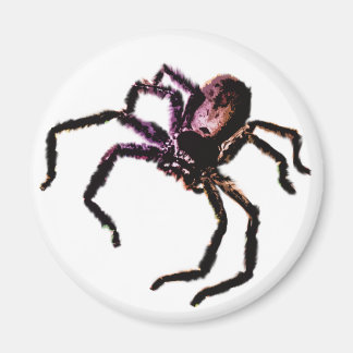 Huntsman Spider Magnet