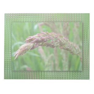 Hur Anteckningsblocket Grass växer Anteckningsblock