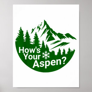 Hur är aspen_ rolig aspen colorado skidåkning skoj poster
