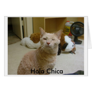 Hur är det, Hola Chica? Hälsningskort