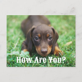 Hur är det med pipettvykortet? helg vykort