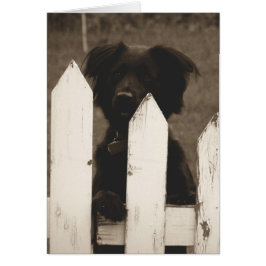 Hur är det med sak? hälsningskort