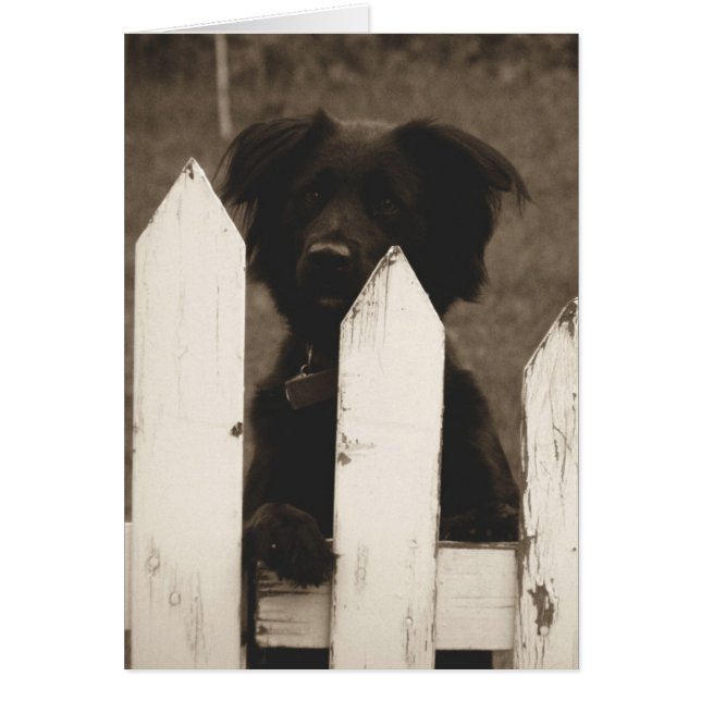 Hur är det med sak? hälsningskort (Framsidan)